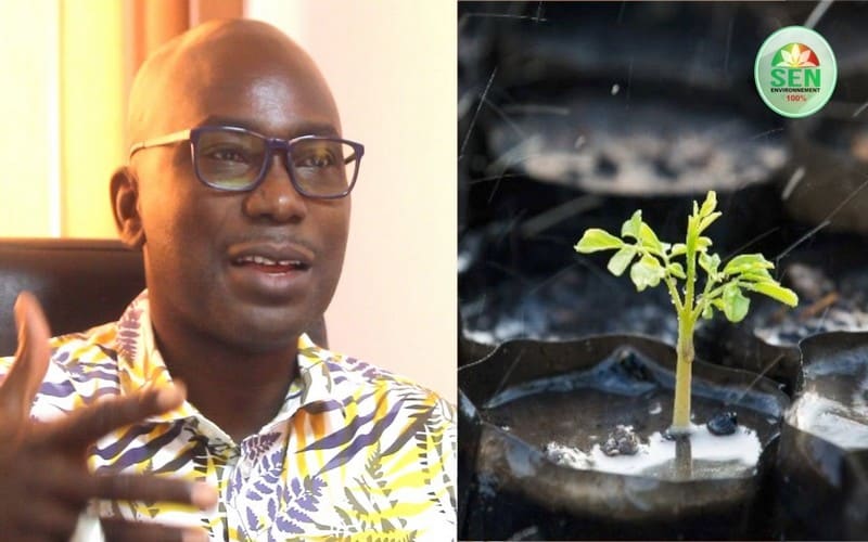 Sénégal : La communauté scolaire peut planter 13 millions d’arbres, affirme le colonel Gora Diop