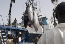 FITI : Le Sénégal invité à suivre l’exemple de la Mauritanie dans le domaine de la pêche industrielle