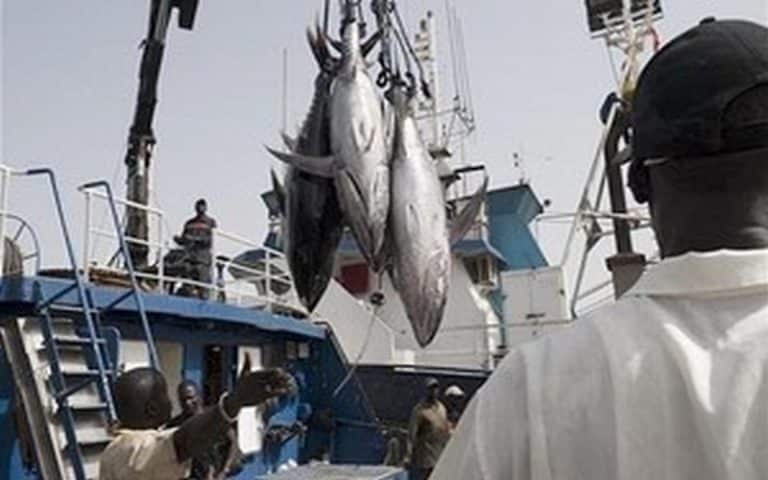 FITI : Le Sénégal invité à suivre l’exemple de la Mauritanie dans le domaine de la pêche industrielle  