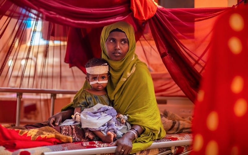 La Corne de l’Afrique menacée par la pire sécheresse depuis des décennies