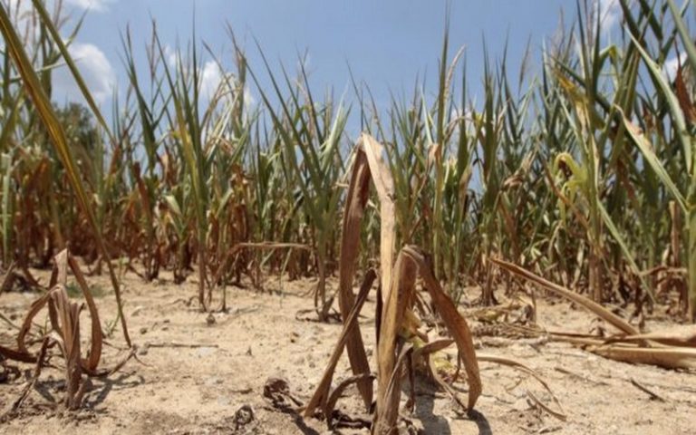 Lutte pour le climat : L’Afrique à la quête 2 500 milliards de dollars nécessaires pour les plans nationaux