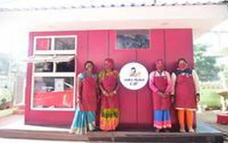 Les graines de millet, une arme puissante contre la faim 