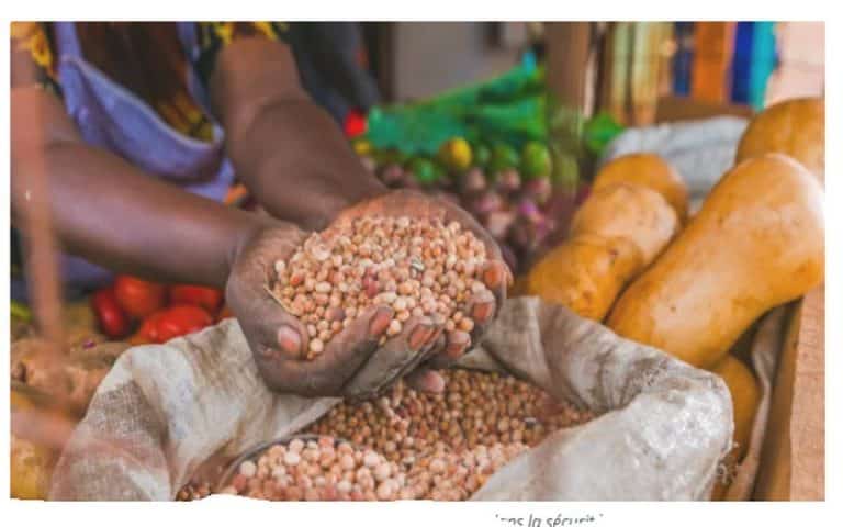 « Par-delà le conflit, un plan pour la sécurité alimentaire de l&rsquo;Afrique »                  