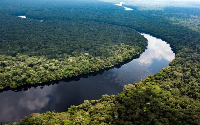 RDC : Greenpeace Afrique appelle à supprimer « l&rsquo;erreur historique » de vendre aux enchères 16 nouveaux blocs pétroliers    