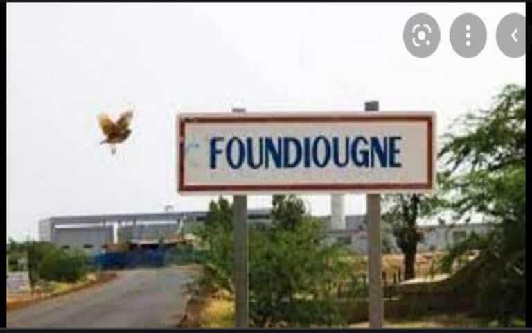 Sénégal : La fourrière de Foundiougne sera réhabilitée pour accueillir les animaux en divagation