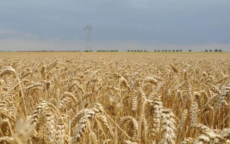 Valérie Deymes indique les voies de lutte contre l’insécurité alimentaire en Afrique