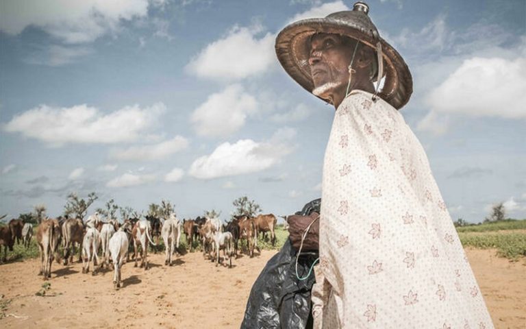 COP15 à Abidjan : changer les pratiques agricoles pour réduire la désertification