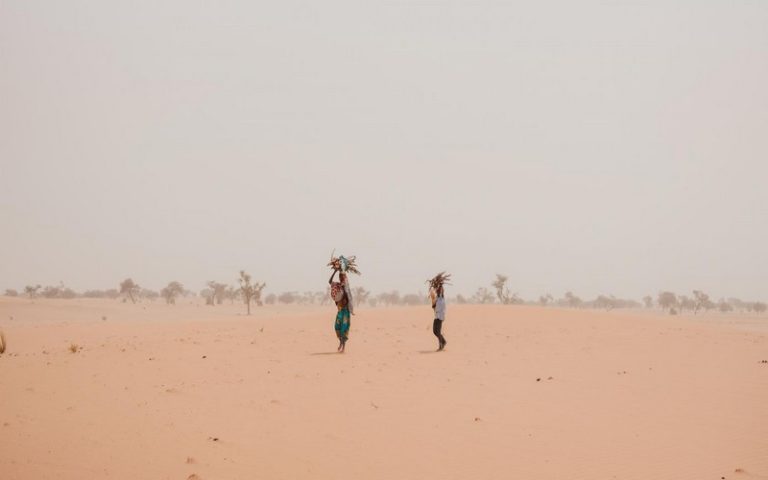 COP15 contre la désertification : L’Afrique au centre de l’attention