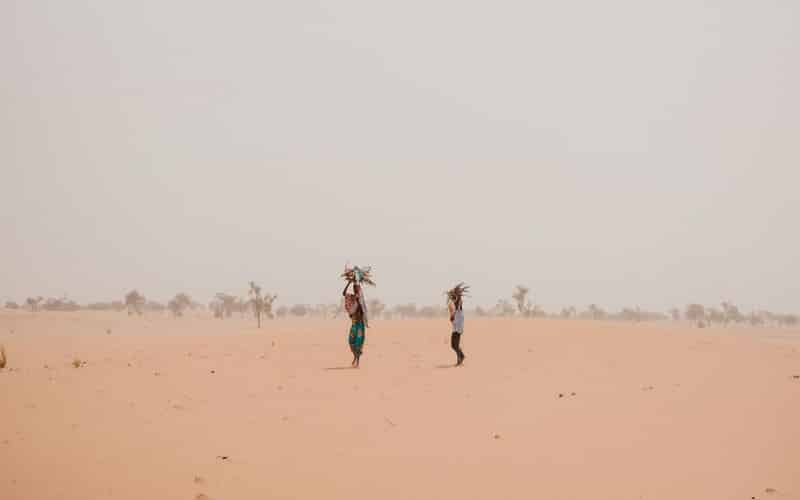 COP15 contre la désertification : L’Afrique au centre de l’attention