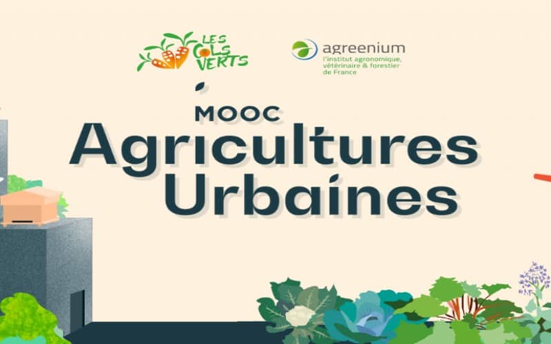 France : Un cours en ligne sur l’agriculture urbaine lancé