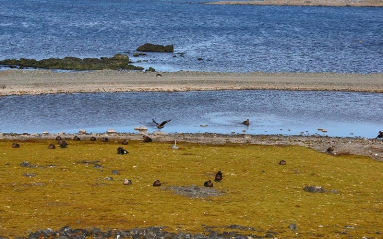 Gestion des zones côtières, de la biodiversité et des aires protégées de l’Afrique de l’ouest