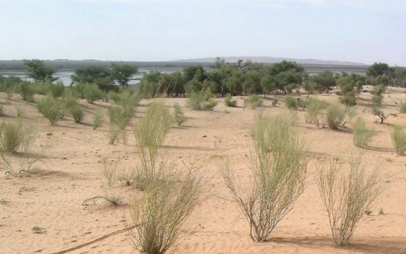 La COP15 de l’ONU sur la lutte contre la désertification s’ouvre ce lundi 9 en Côte d’Ivoire  