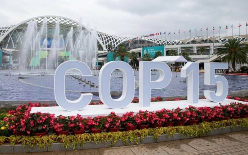 La Côte d’Ivoire prête à accueillir la 15ème Conférence de l’ONU sur la biodiversité