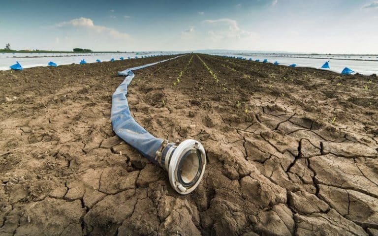 L’eau va devenir plus rare encore sur plus de 80 % des terres cultivées d’ici à 2050