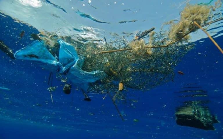 Conférence de Lisbonne : L’objectif de 30% d’AMP, la lutte contre la pêche illicite et la pollution plastique au centre des échanges