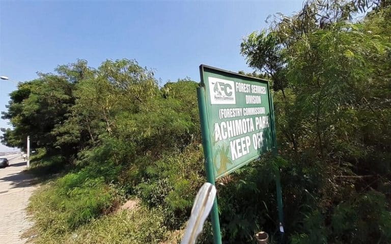 Ghana : la contestation s’organise pour sauver la forêt d’Achimota