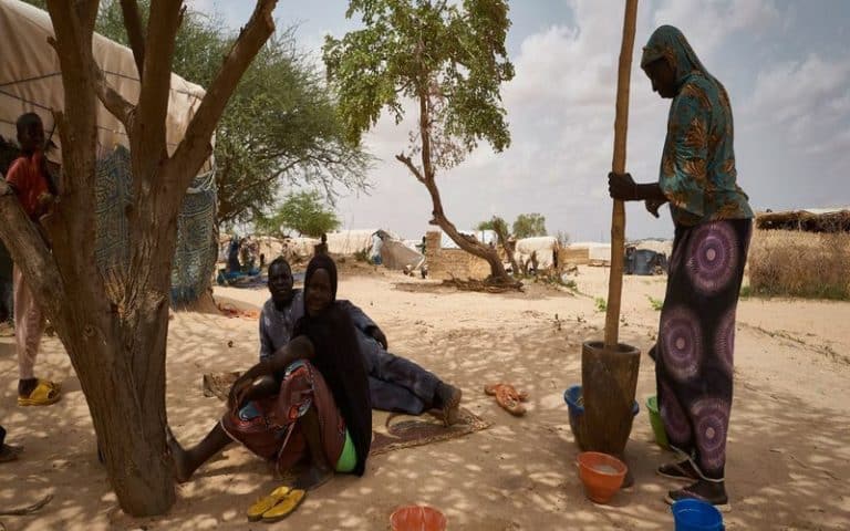 Journée mondiale des réfugiés : Le PAM annonce avoir réduit l’aide aux réfugiés en Afrique faute de financements