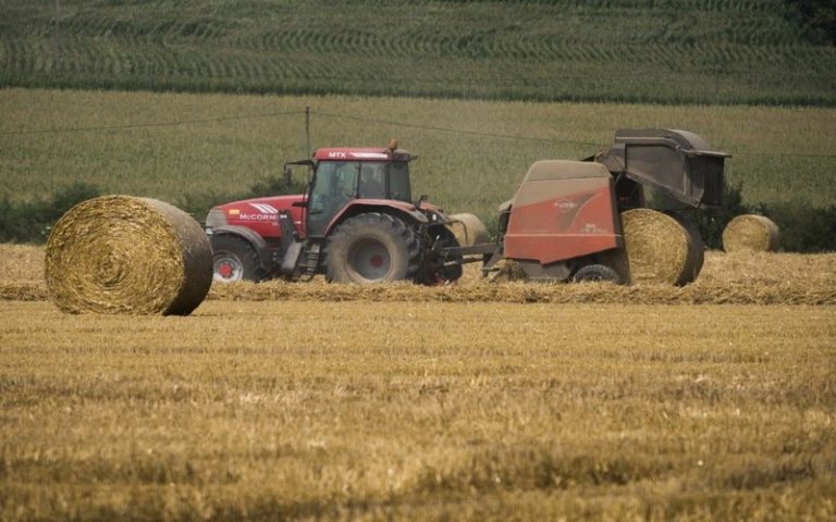 La sécurité alimentaire au Maghreb, enjeu économique et politique pour les Européens