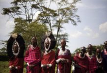 Les communautés masaï sont devenues une menace pour la faune sauvage, selon les autorités tanzaniennes