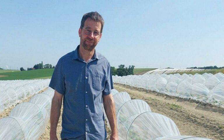 Les fruits exotiques africains attirent de plus en plus les agriculteurs français