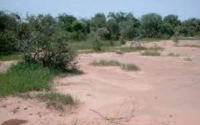 Rendre le Sahel plus riche et plus vert pour la nature et les hommes