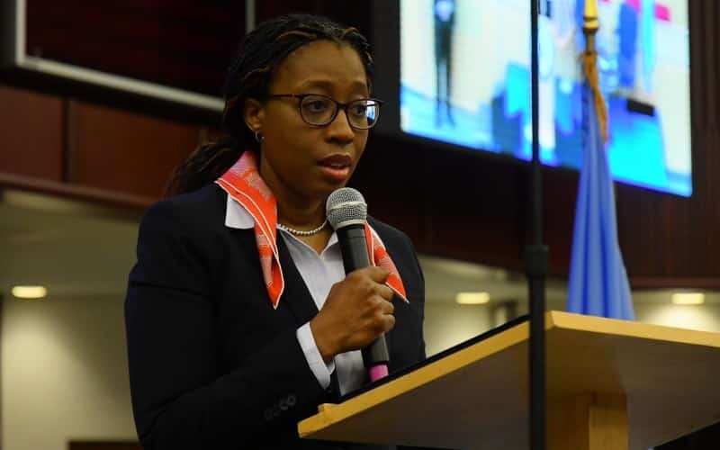 Energie : Ce que les Etats-Unis et l’Europe peuvent gagner en Afrique