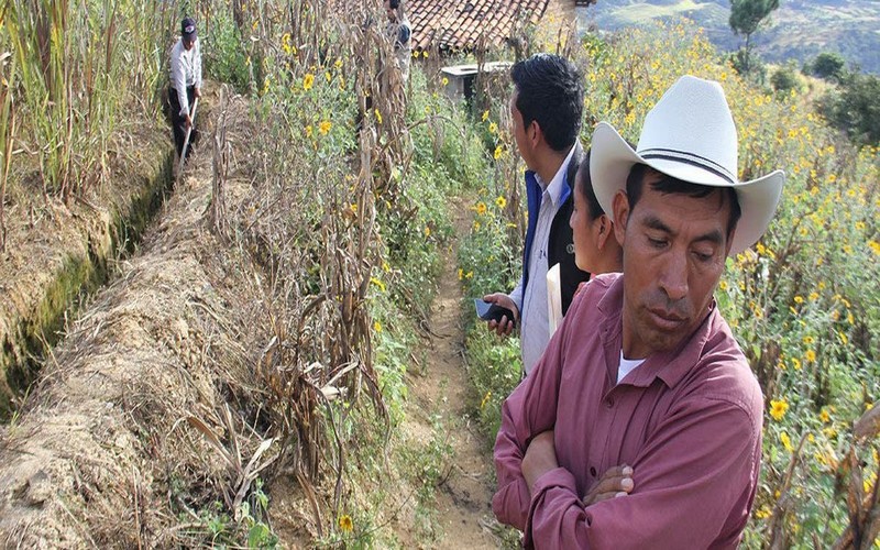 La FAO accélère la cartographie numérique des nutriments du sol en Amérique centrale et en Afrique subsaharienne