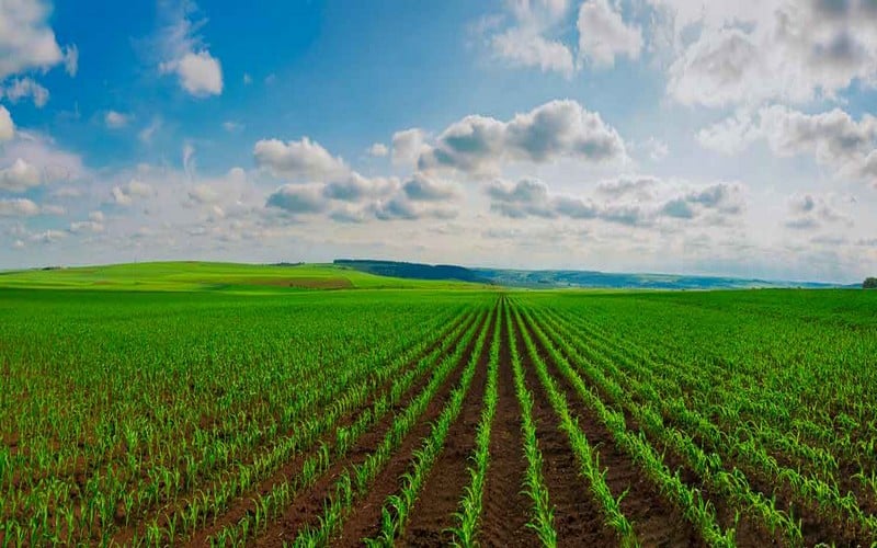 Le Fonds africain de développement accorde un prêt de 14,4 millions de dollars à la Zambie pour renforcer sa sécurité alimentaire