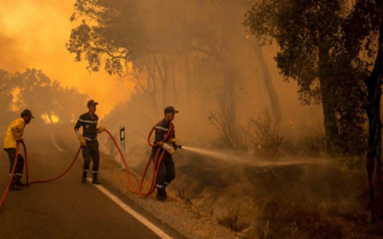 Les services de lutte anti-incendie marocains tentent de maîtriser les feux de forêt