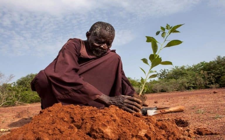 L’insécurité alimentaire en Afrique de l’Ouest nécessite une réponse adaptée au climat dans un contexte de crises