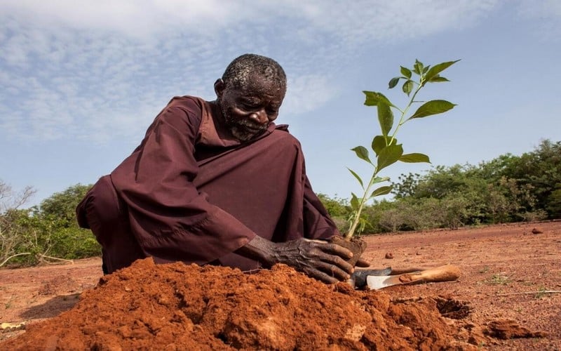 L’insécurité alimentaire en Afrique de l’Ouest nécessite une réponse adaptée au climat dans un contexte de crises