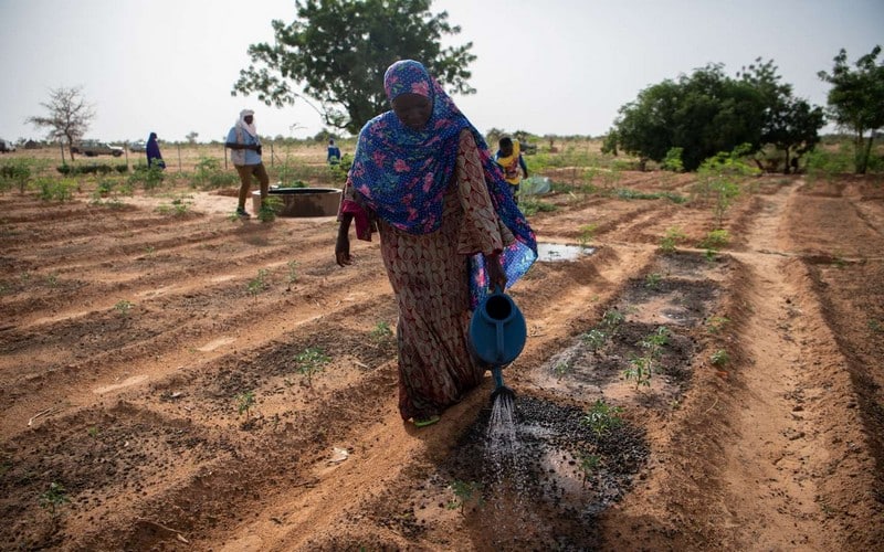 Afin de contrer la sécheresse, le Niger provoque la pluie