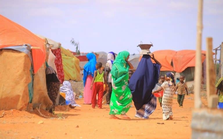 L’OMS en quête de 123,7 millions USD pour contrer la crise alimentaire dans la région de la Corne de l’Afrique