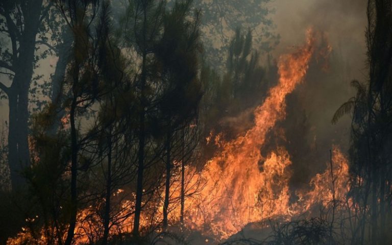 La France ravagée par les feux de forêt encore en cours