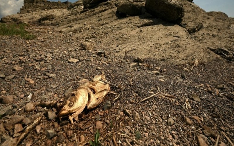 La forte canicule et sécheresse en Chine constituent « une grave menace » pour les récoltes