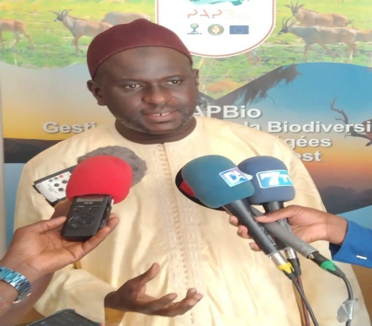La gouvernance régionale des aires protégées au centre d’une réunion technique d’évaluation des rapports provisoires d’une étude au Sénégal