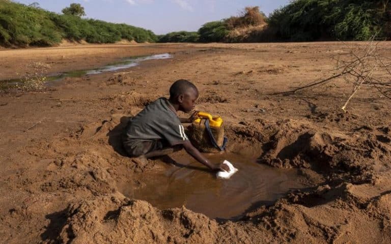 Le Sahel « au bord de la catastrophe » à cause de la sécheresse, reconnais l’UNICEF