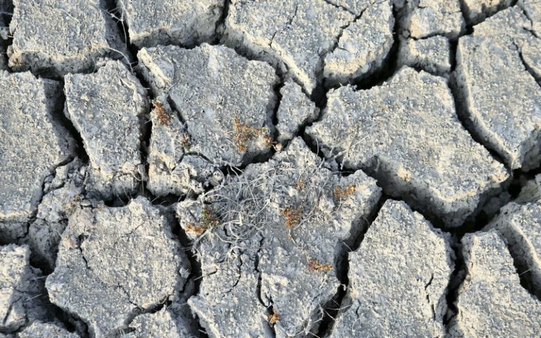 Le manque de pluie fait persister les conditions de sécheresse dans la Corne de l&rsquo;Afrique, selon l&rsquo;IGAD