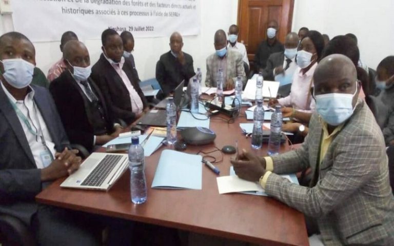 Le secrétariat général à l’environnement et la FAO organise un atelier sur les moteurs de la déforestation et de la dégradation