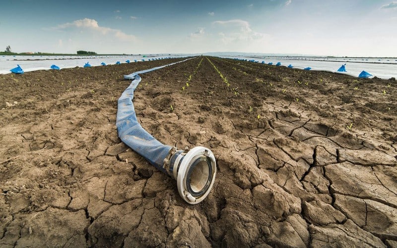 L’eau va devenir plus rare encore sur plus de 80 % des terres cultivées d’ici 2050