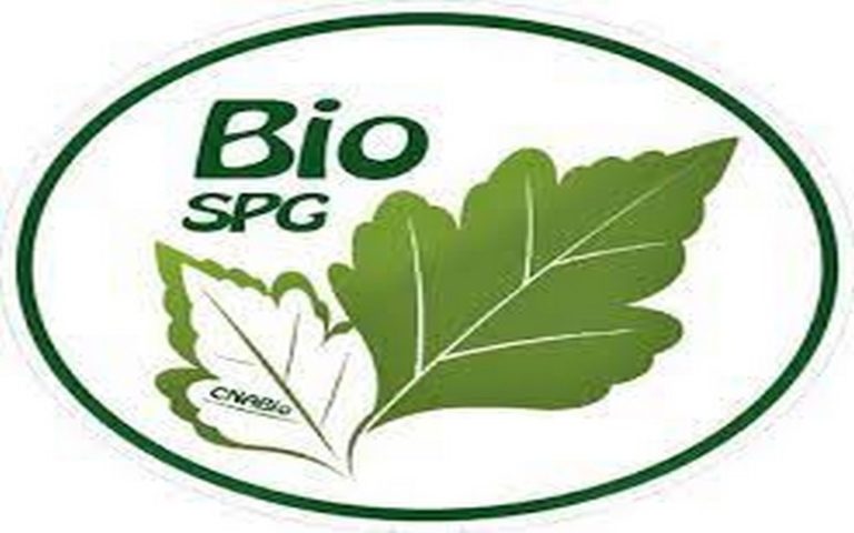 Les SPG et leurs structurations nationales sont-ils une solution pour répondre à la demande croissante en produits sans résidus de pesticides sur les marchés locaux ?