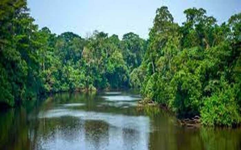 Les médias africains à se saisir de la question de l’eau