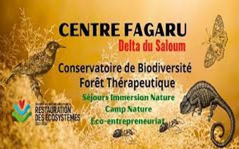 Lettre ouverte adressée au Ministre Sénégalais de l’Environnement et du Développement durable