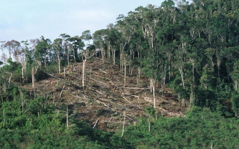 Madagascar : la protection des lanceurs d’alerte au cœur du sommet des défenseurs des droits humains de l’océan Indien