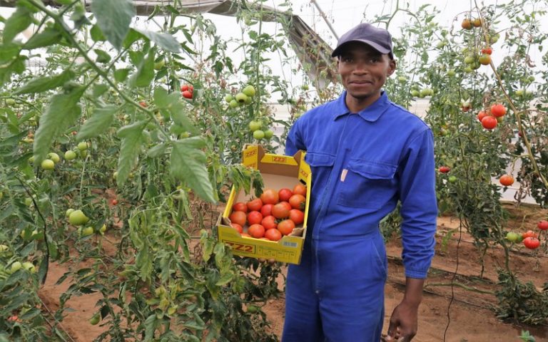 Relancer le commerce intra-africain pour renforcer la reprise post-Covid-19 et favoriser la sécurité alimentaire