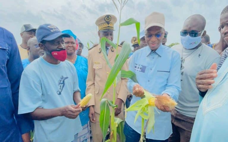 Sénégal : ANIDA annonce « 1 000 nouvelles fermes ‘’natangué’’ en 2023 »
