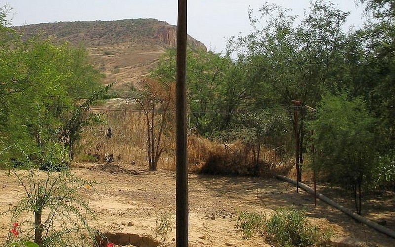 Sénégal : Des femmes déterminées à préserver la réserve naturelle de Popenguine