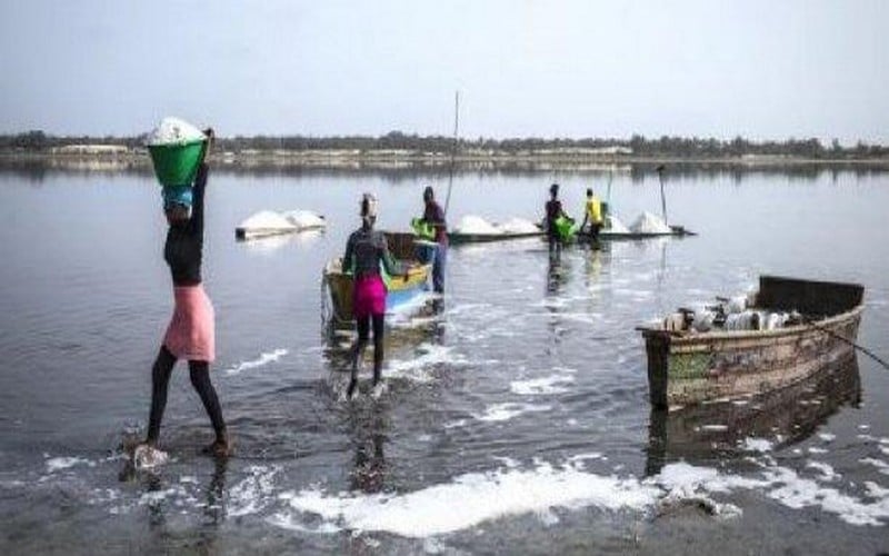 Sénégal – Désagréments dus au déversement des eaux pluviales dans le lac Rose : Les exploitants de sel sonnent l’alerte