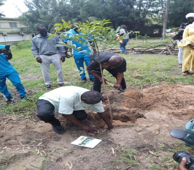 Sénégal : Le CNRF incite les acteurs de la recherche forestière à avoir comme défi une contribution au renouvellement d’espèces menacées