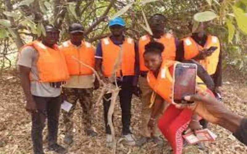 Sénégal : Une fédération des professionnels de la foresterie voit le jour à Bounkiling